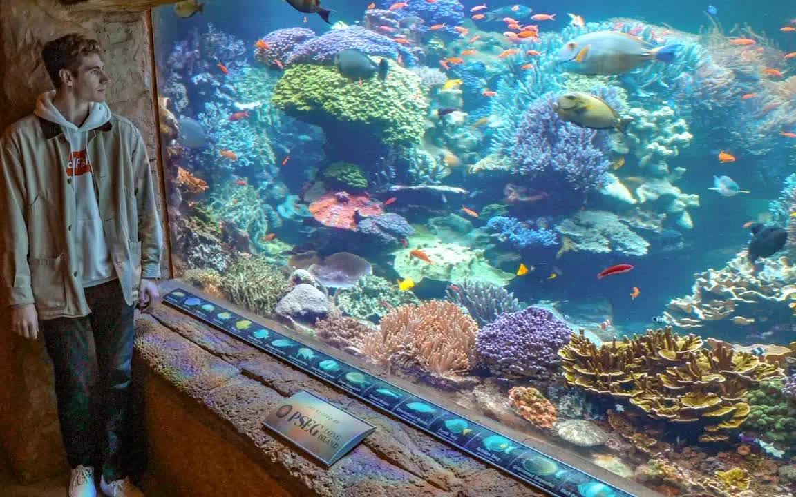 [图]游览世界著名的豪华家庭水族馆！