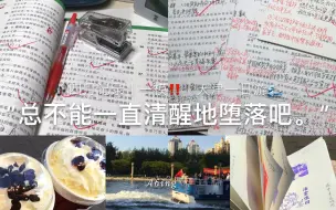 Download Video: SA｜总不能一直清醒地堕落吧。｜初三一模备考｜4月记录｜阿冰｜Study Account