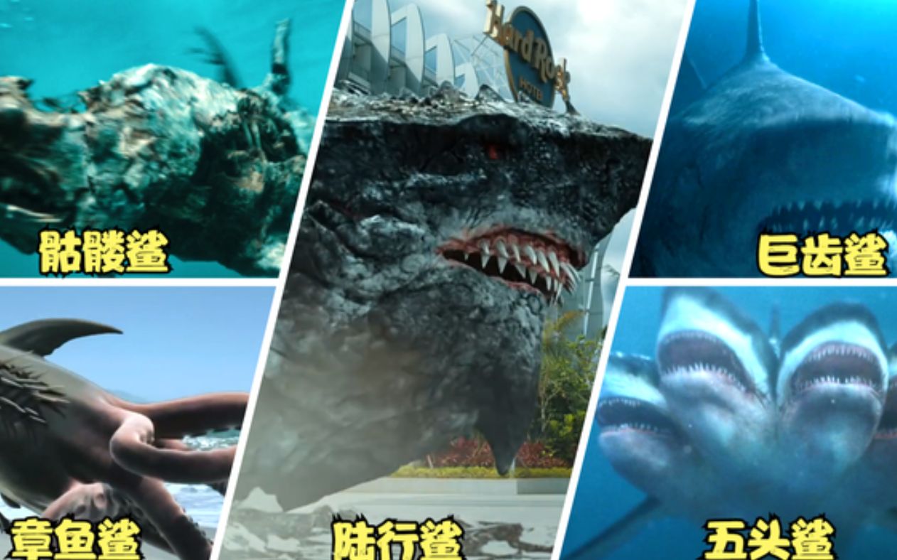 五头鲨vs骷髅鲨图片