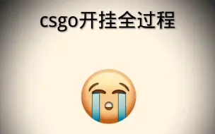 Descargar video: csgo开挂全过程