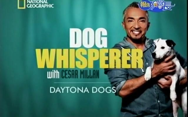 [图]中文字幕《狗语者- Dog Whisperer with Cesar Millan》喜剧恶犬