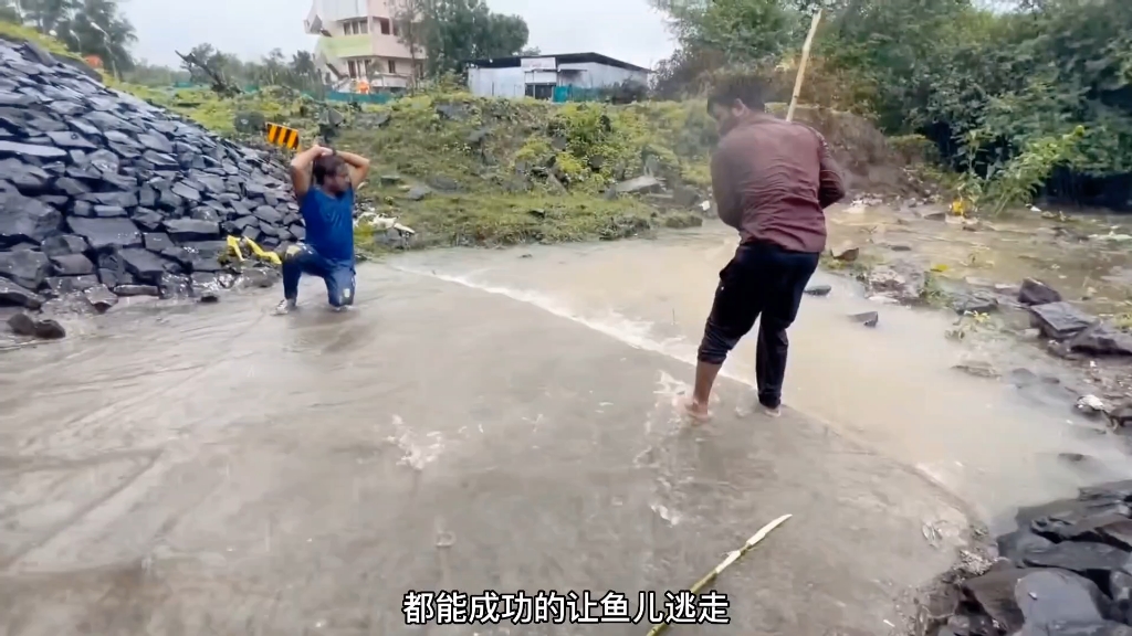 暴雨过后河里鱼儿太多,三哥们用木棒敲打鱼儿,太过瘾了哔哩哔哩bilibili