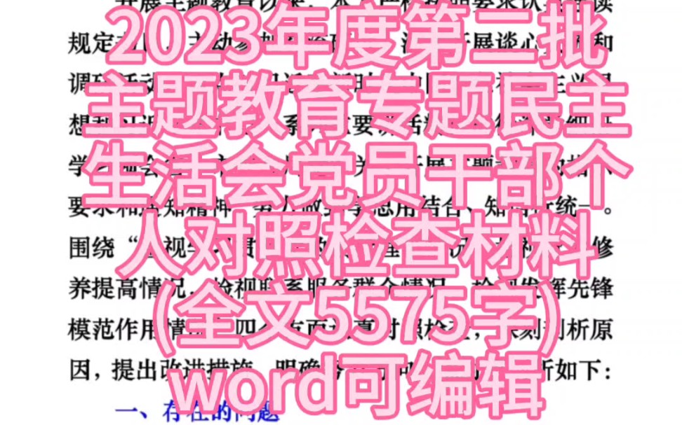 2023年度第二批主题教育专题民主生活会党员干部个人对照检查材料(新四个对照)(全文5575字)哔哩哔哩bilibili