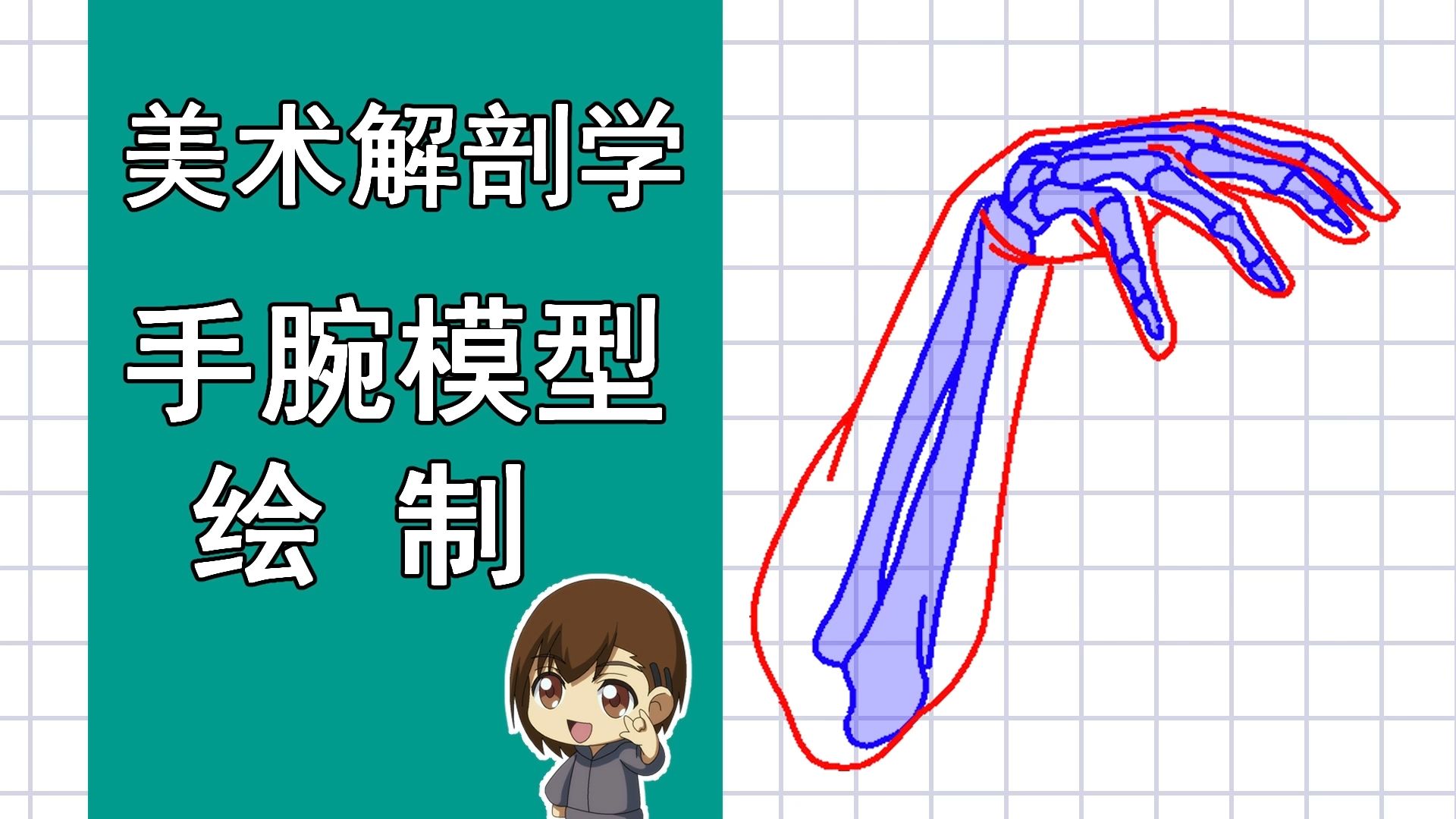 美术解剖学-73-手腕模型绘制