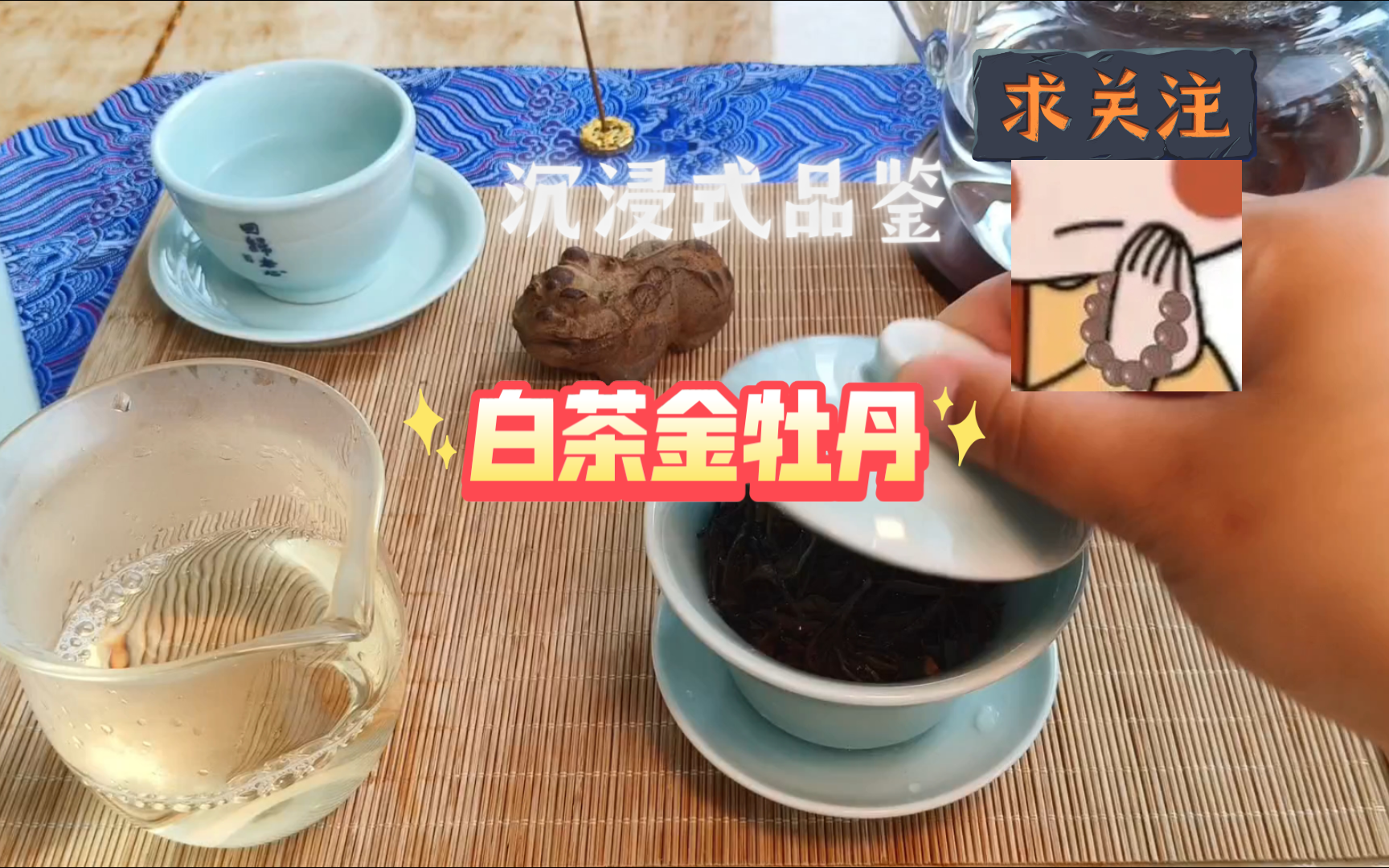 沉浸式品鉴金牡丹