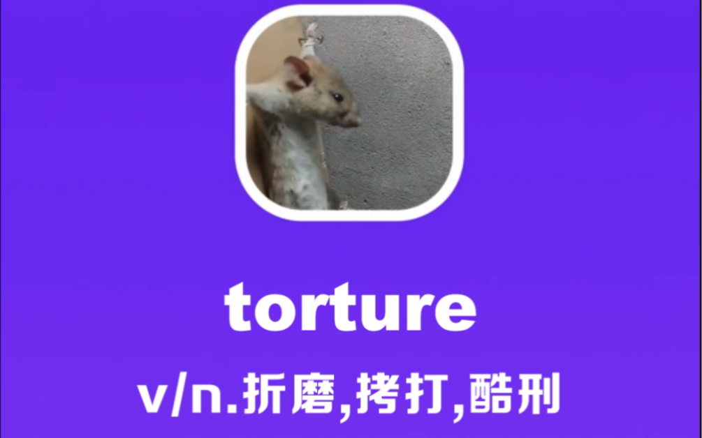 torture:折磨,拷打,酷刑哔哩哔哩bilibili