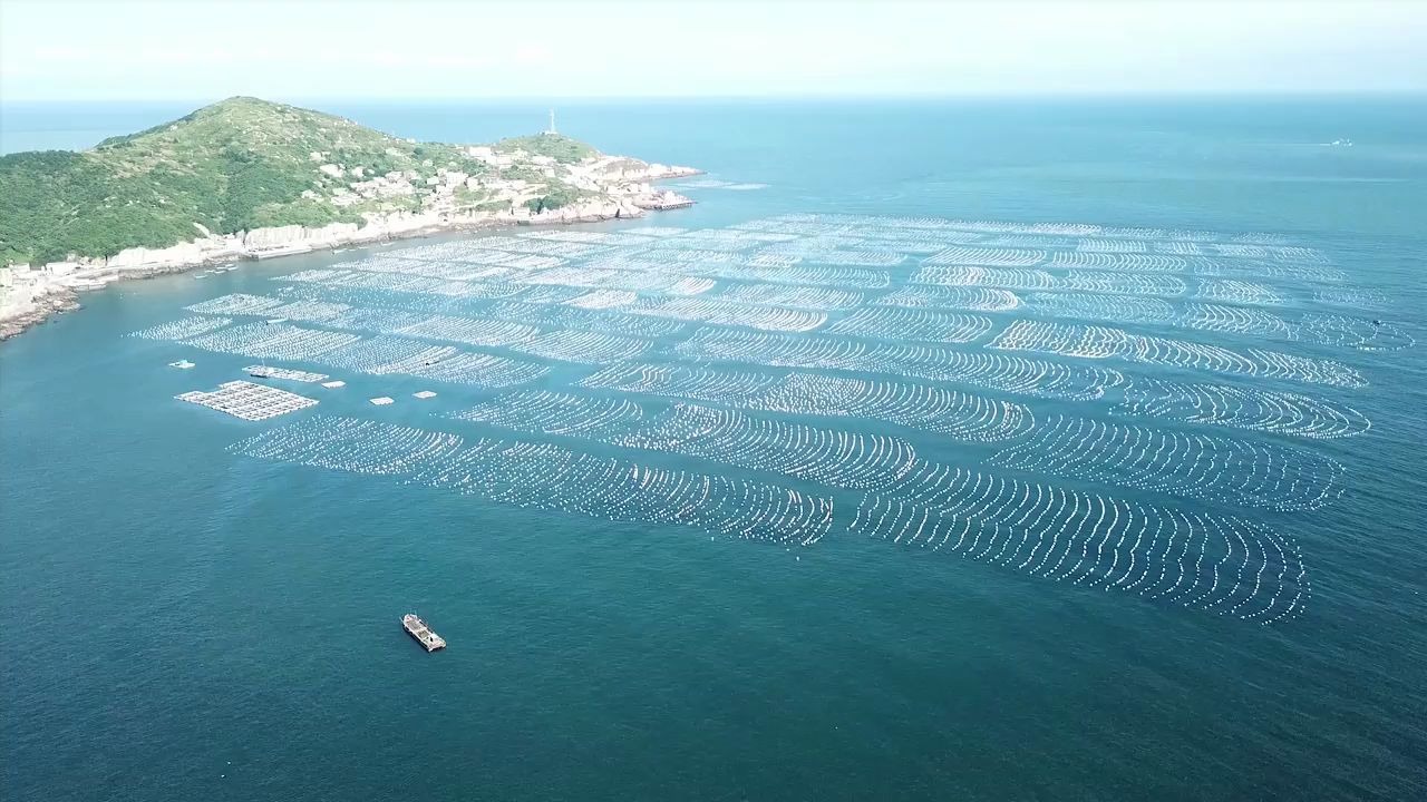 大陈岛的红绿蓝 一起去看传奇小岛如何用垦荒精神引领小康路哔哩哔哩bilibili