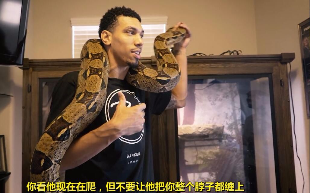 虎扑jrs字幕皇阿玛丹尼格林分享玩蛇经验要调教让他们知道谁是王