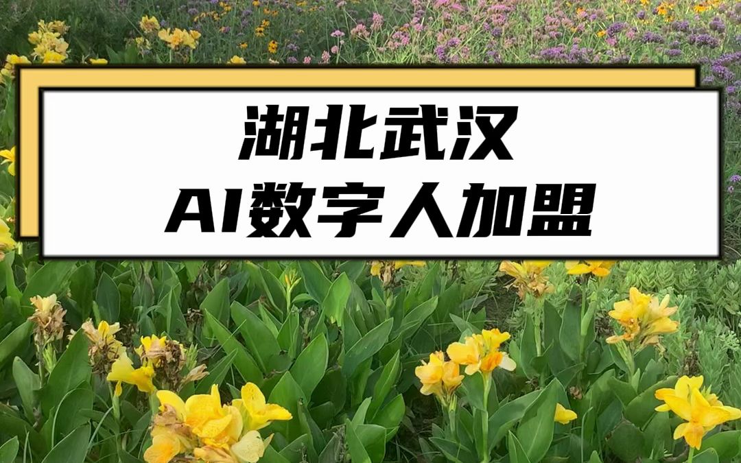 湖北武汉AI数字人加盟哔哩哔哩bilibili