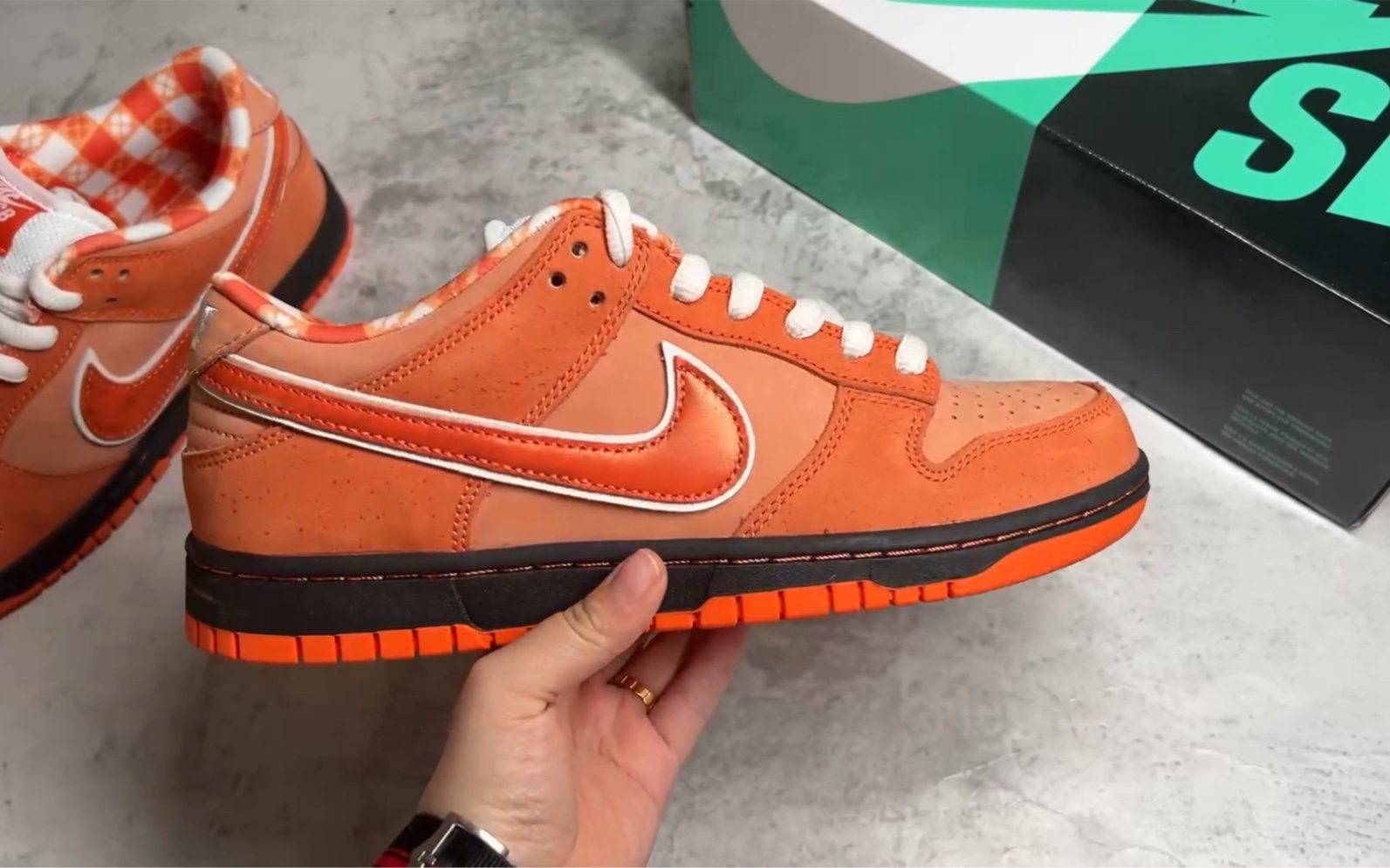 【全方位实拍】concepts × nike sb dunk low 橙龙虾