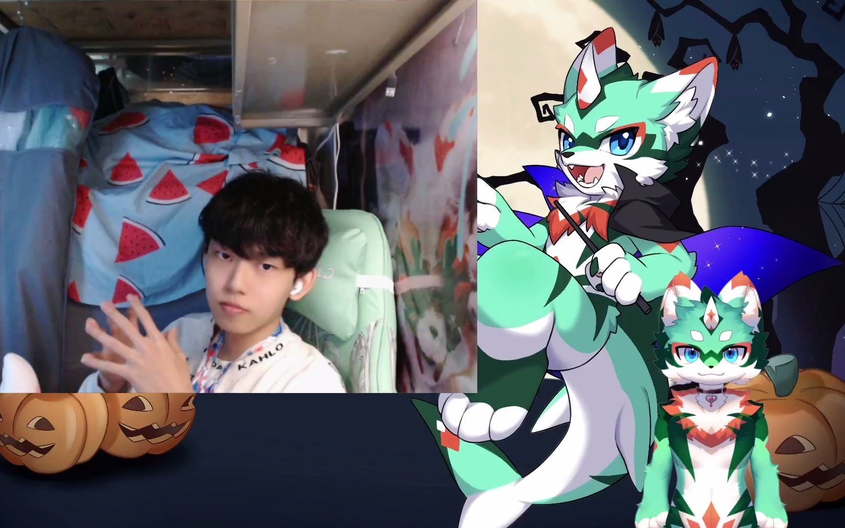 【莱卡牌-冰镇西瓜鱼】西瓜鱼内陷浅播亿下下~~2022年11月4日(星期五)