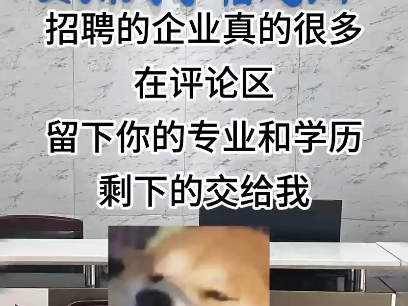 为啥年底这么多企业来招聘的?哔哩哔哩bilibili