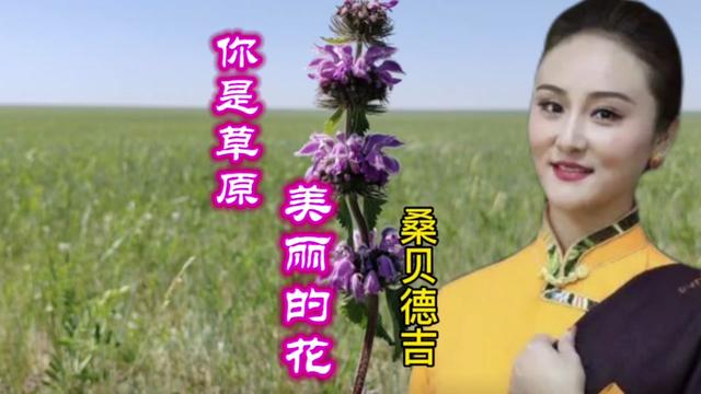 [图]草原天籁：桑贝德吉演唱《你是草原美丽的花》醇厚的嗓音令人陶醉