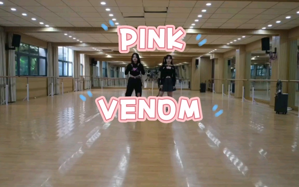 PINK VENOM练习室版(炮版)哔哩哔哩bilibili