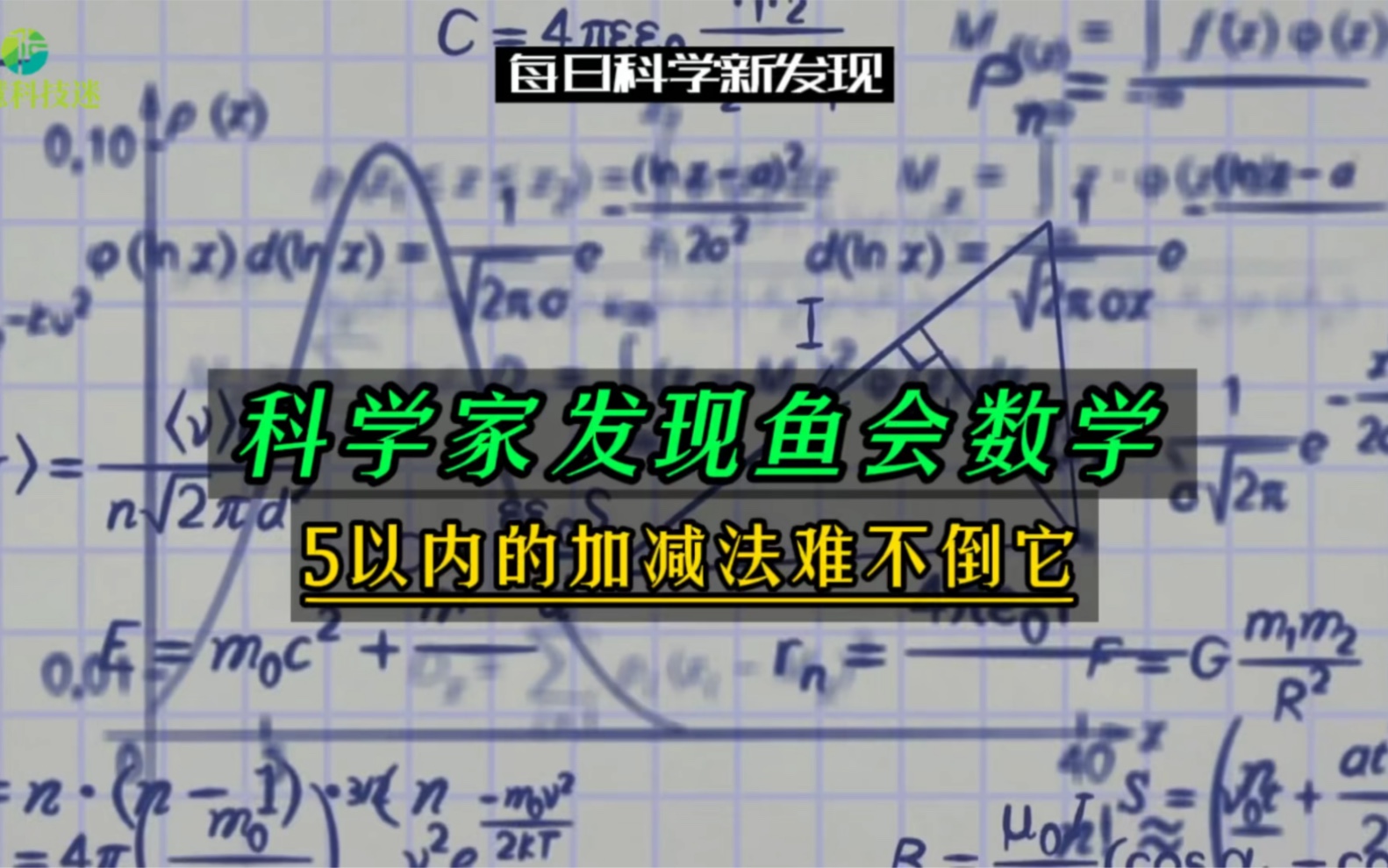 [图]【每日科学新发现】科学家发现鱼会数学，5以内的加减法难不倒它