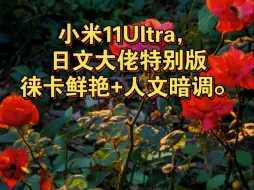 Скачать видео: 小米11Ultra，日文大佬特别版，新春版谷歌相机，徕卡鲜艳+人文暗调。