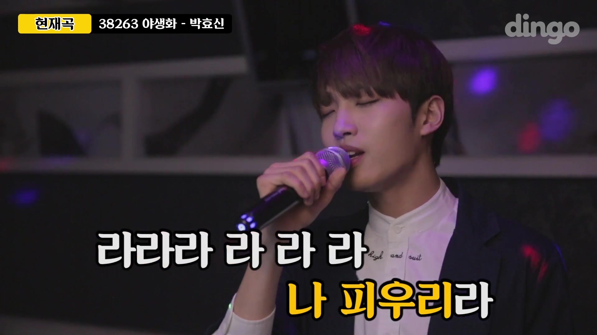 善燏dingomusic野生花原唱朴孝信