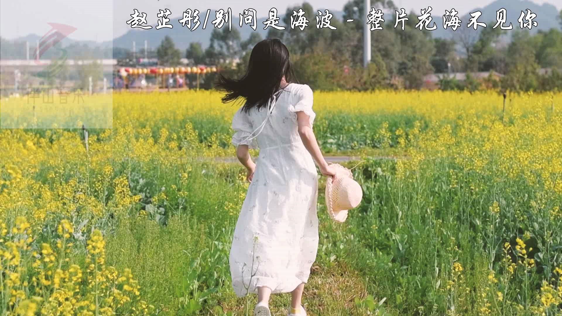 赵芷彤&别问是海波《整片花海不见你》风景MV,抖音热曲,花海中的你,才是最美的瞬间~~~哔哩哔哩bilibili