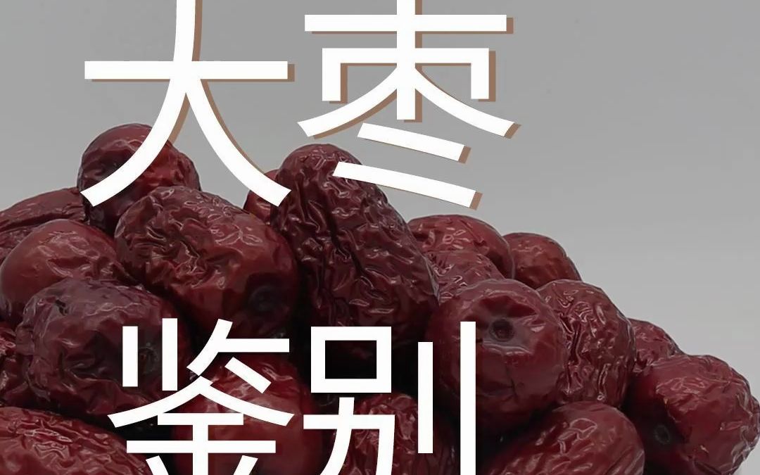 药用大枣和食用大枣到底有什么区别?哔哩哔哩bilibili