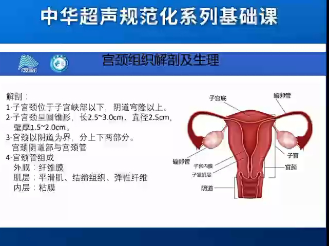 妇产超声系列中华规范化基础系列课(共54节课)05宫颈病变超声诊断与鉴别诊断哔哩哔哩bilibili