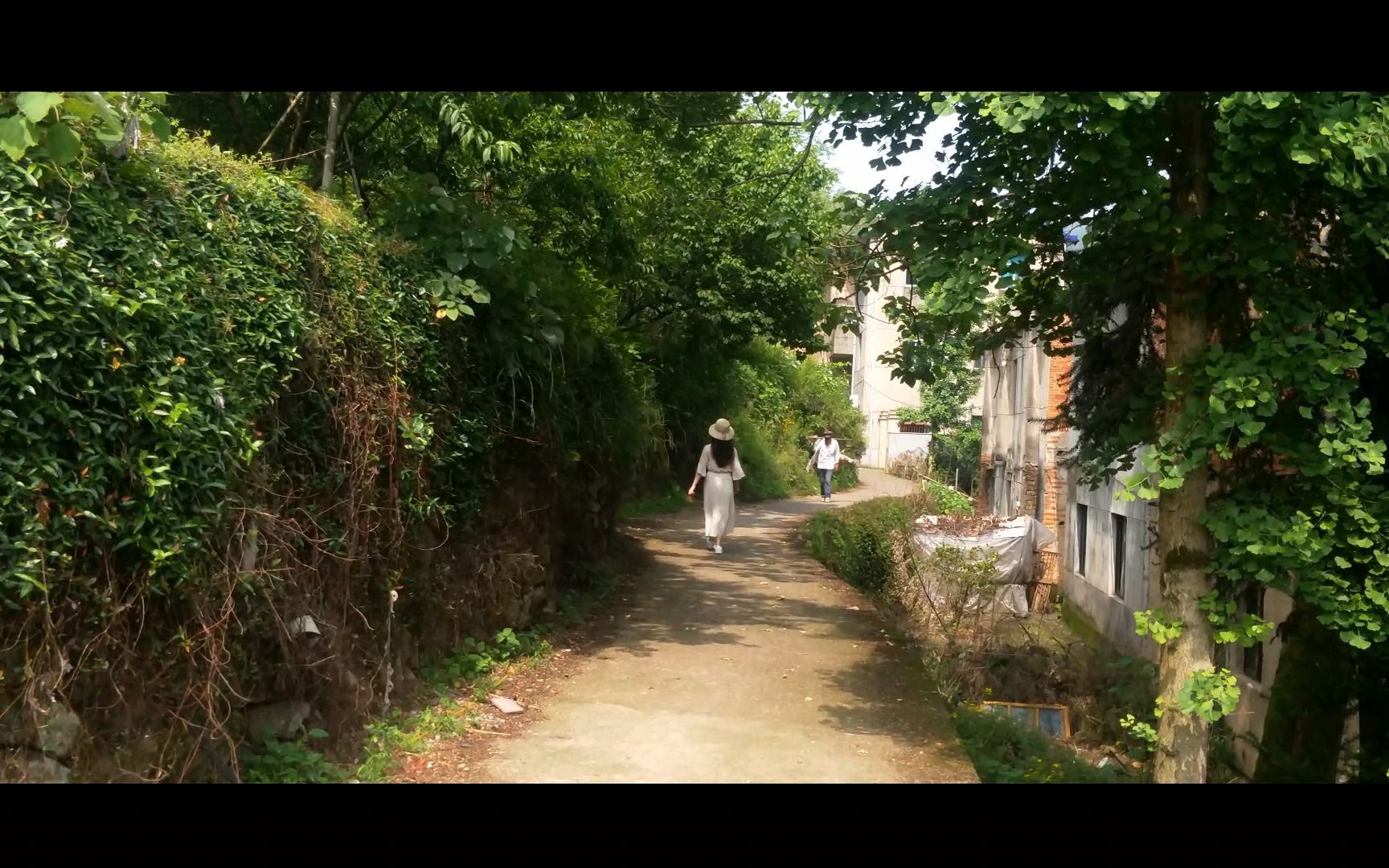 墨城坞啊,故乡啊,我们的乡村