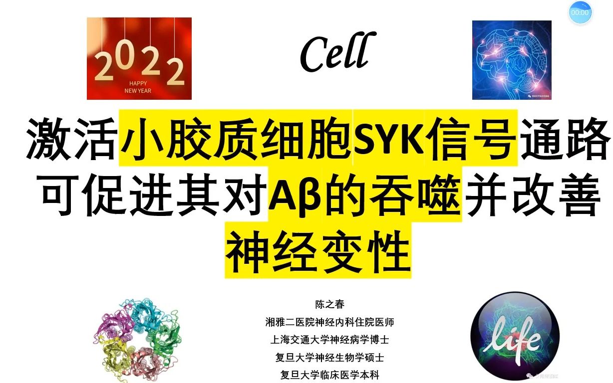 Cell—激活小胶质细胞SYK信号通路可促进其对Aš„吞噬并改善神经变性哔哩哔哩bilibili