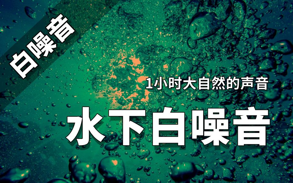 【白噪音】大自然的声音——水下1小时白噪音哔哩哔哩bilibili