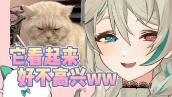 阿莉给大家看最近拍的小猫！