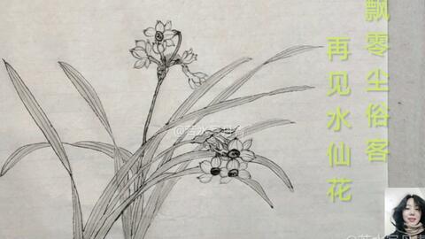 国画 水仙花画法 这样画出来的水墨画 水仙花你喜欢吗 哔哩哔哩