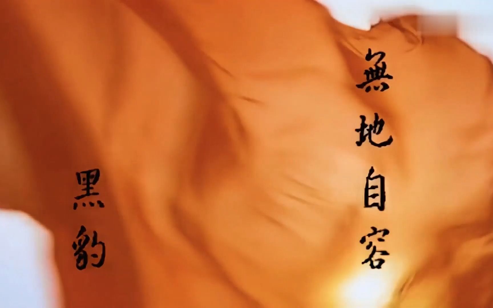 《无地自容》经典歌曲mv-窦唯&黑豹乐队