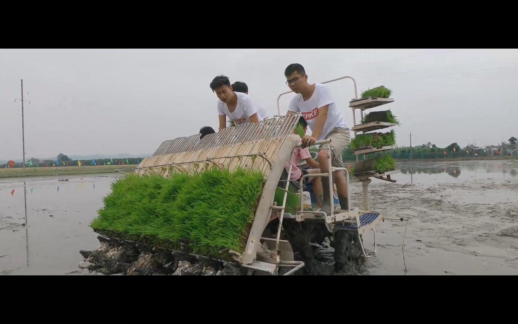 [图]2018湖南农业大学农学院浏阳基地插秧比赛。