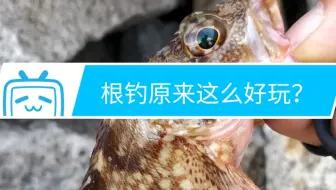 黑人赶海钓鱼 在防波堤上钓大红鱼 不用抄网直接拉上岸 哔哩哔哩 Bilibili