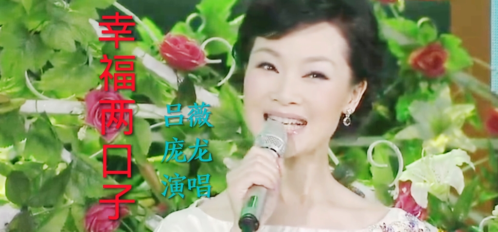 歌曲《幸福两口子》,吕薇、庞龙演唱哔哩哔哩bilibili