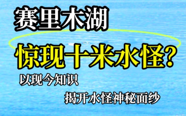 赛里木湖水怪之谜,理性分析,揭开水怪神秘面纱哔哩哔哩bilibili