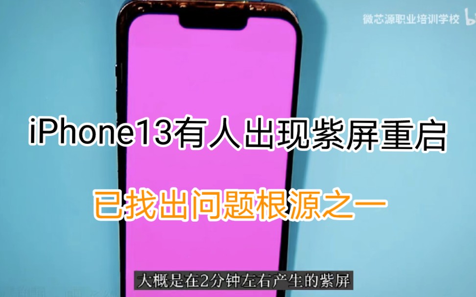 第七集:iPhone13出现紫屏不定时重启,在设置隐私里面查看可以得到答案