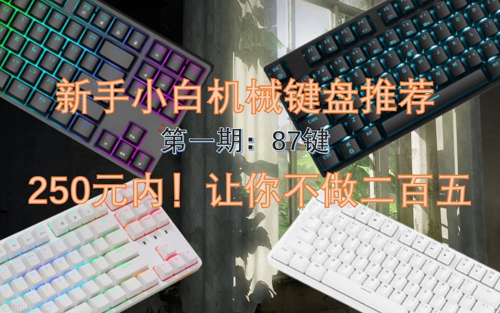 【键盘推荐】250元内推荐给学生党新手小白的6把87键入门机械键盘!让你不做二百五!哔哩哔哩bilibili