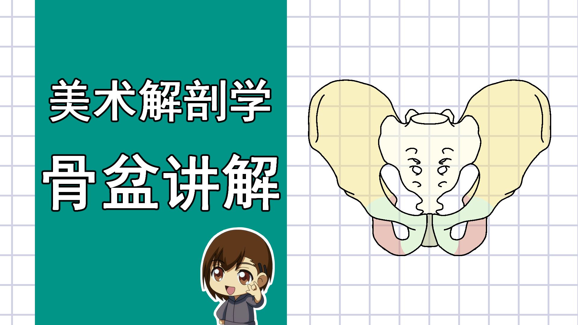 美术解剖学-49-骨盆讲解