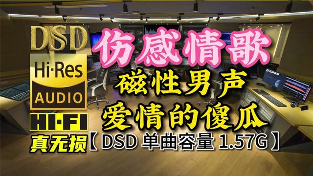 [图]磁性男声，伤感情歌《爱情的傻瓜》DSD完整版