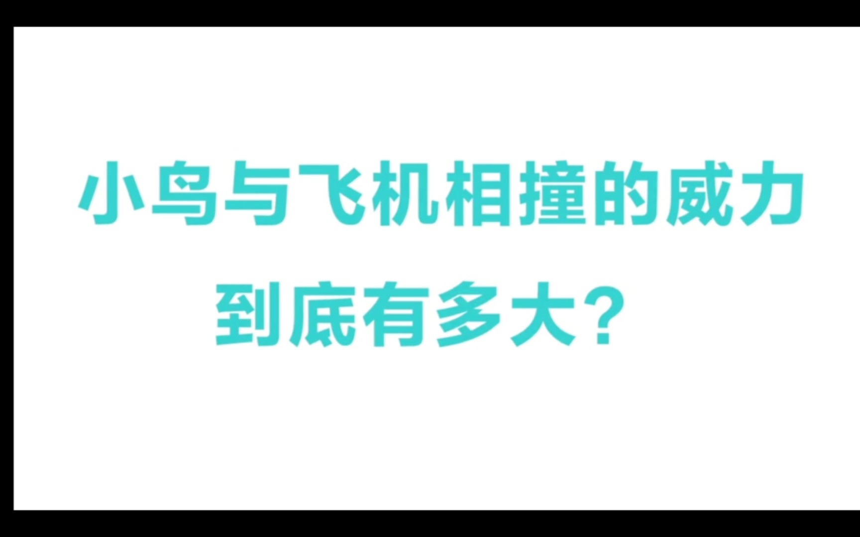 [图]飞机为什么最怕小鸟？小鸟的威力真有那么大？