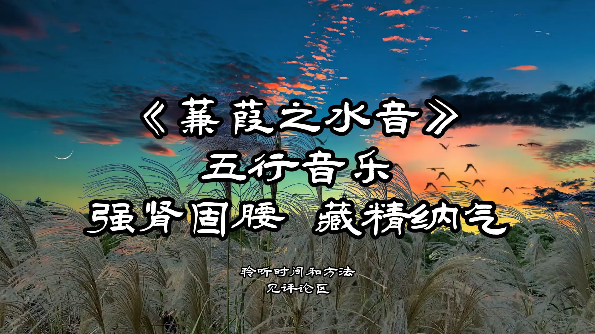 【五行音乐水音强肾养发固腰藏精】《蒹葭》五音疗疾疗愈白噪音静心安眠助眠缓解疲劳失眠纯音乐治愈性风景画面长视频提高专注力注意力集中考研考公...