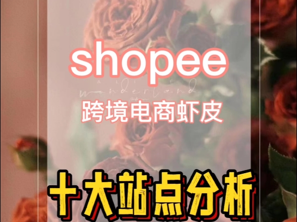 跨境电商虾皮shopee十大站点分析来了~哔哩哔哩bilibili