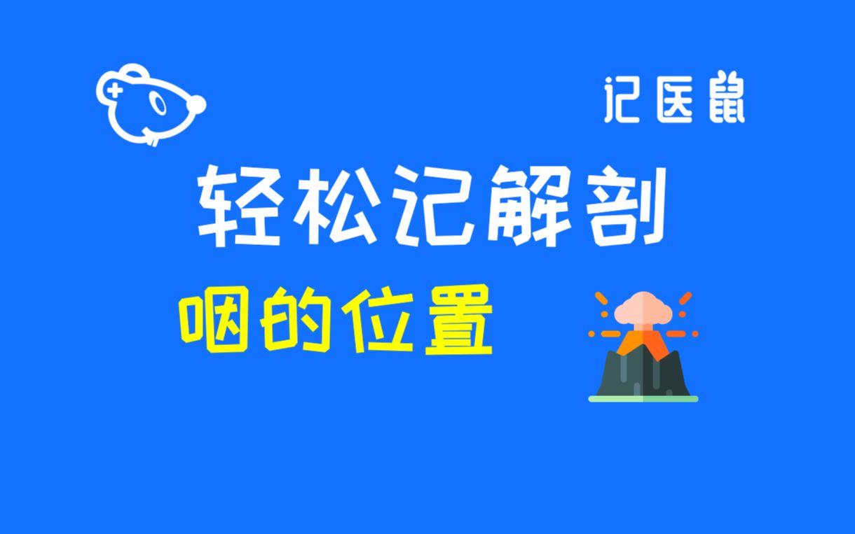 119 解剖 轻松记咽的位置哔哩哔哩bilibili