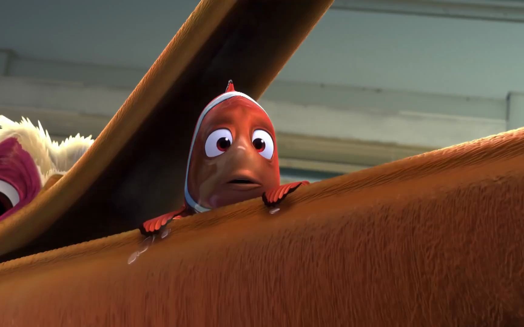 让海底总动员的鱼们一起燃烧卡路里