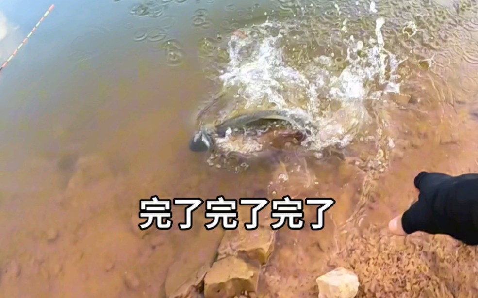 挑战打龟圣地,你猜我钓到鱼没?-小昕去钓鱼-小昕去钓鱼-哔哩哔哩视频