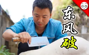 Download Video: 【华农兄弟】东风破