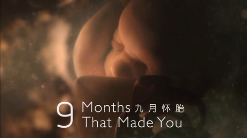 九月怀胎1080p 中字全3集 哔哩哔哩 Bilibili