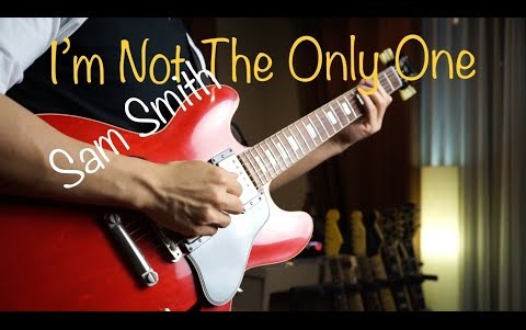 [图](Sam Smith) I'm Not The Only One - Vinai T cover