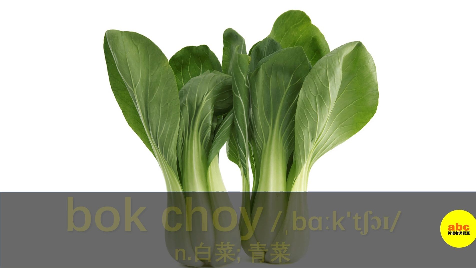 8秒钟记住单词 bok choy 白菜