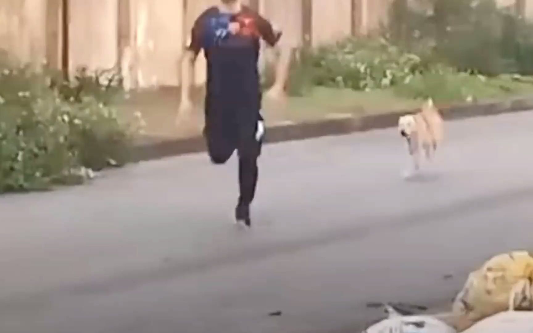 当你被狗追着时该如何自救?这几步,可以助你脱困!