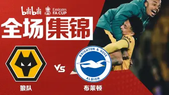 【全场集锦】狼队1-0布莱顿晋级足总杯8强，勒米纳一击制胜